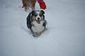DSC_0115 (2)